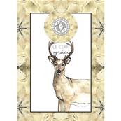 L'Oracle du Règne Animal - Coffret 65 Cartes