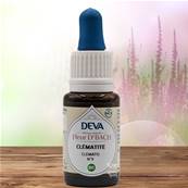 Deva - Fleur du Dr Bach - Clématite N.9 - Compte gouttes 15ml