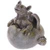 Dragon de Jardin - Naissance - Modle C