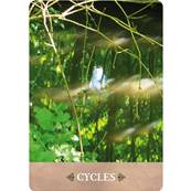 L'Oeil de Gaïa - Coffret 35 Cartes Dominique Dias