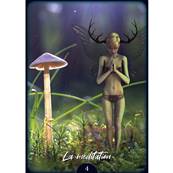 L'Oracle de Shine - Coffret 32 Cartes Frédérique Shine