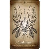 Antidote Magique - L'Oracle des Soeurs Chaudron - Coffret Oracle 48 Cartes
