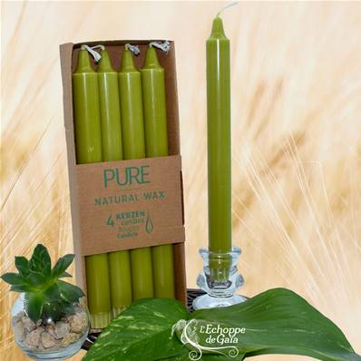 Bougie Longue Vert Olive 10h Pure Candle Boîte de 4