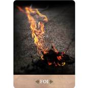 L'Oeil de Gaïa - Coffret 35 Cartes Dominique Dias