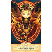 L'Oracle de la quête spirituelle - Ravynne Phelan Coffret 55 Cartes