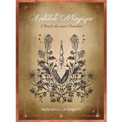 Antidote Magique - L'Oracle des Soeurs Chaudron - Coffret Oracle 48 Cartes