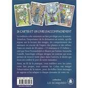 L'Oracle de l'Astrologie Celtique - Jeu 26 Cartes