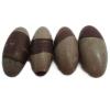 Shiva Lingam - Pierre roulée - 7-9 cm