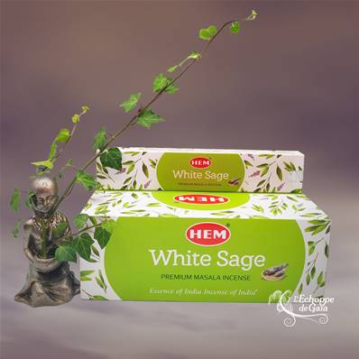 Encens Hem - Premium Masala Sauge Blanche White Sage - Pack de 12