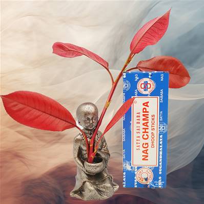 Encens Satya Nag Champa Dhoop Sticks - Original