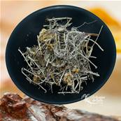 Immortelle - Helichrysum Italicum - 50g