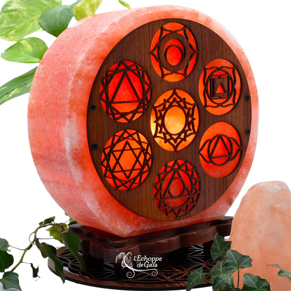 Lampe en véritable Sel de l'Himalaya Décoration Bois - Chakras 5 kg