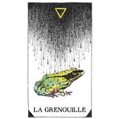 L'Oracle de l'Esprit Animal Sauvage et Inconnu - Kim Krans