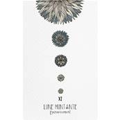 Ors et Ombres - Coffret Oracle d'Alchimie Lunaire 54 Cartes