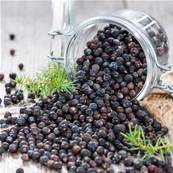 Baies de Genvrier - Juniperus Communis - 250g