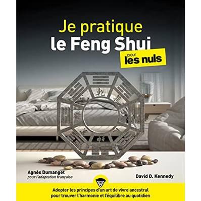 Je Pratique le Feng Shui pour les Nuls - David-Daniel Kennedy