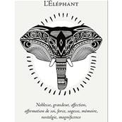 La Boîte du Chaman - Coffret 36 Cartes