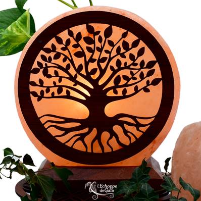 Lampe en véritable Sel de l'Himalaya Décoration Bois - Arbre de Vie 5 kg