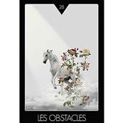 Réalise ton Aspiration - Bruno Lallement - Coffret 74 Cartes