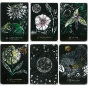 L'Oracle des Fleurs Nocturnes