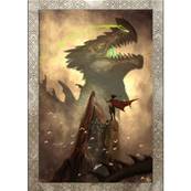 L'Oracle des Dragons Vikings - Livre + 40 cartes