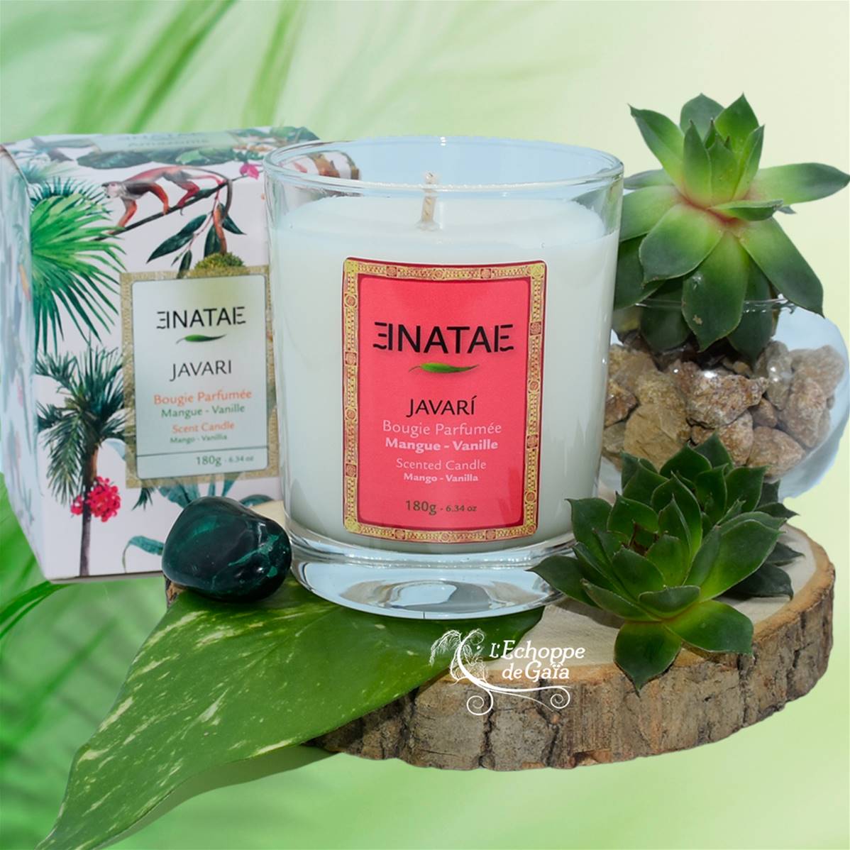 Bougie Parfumée Enatae 45h - Javari