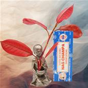 Encens Satya Nag Champa Dhoop Sticks - Original