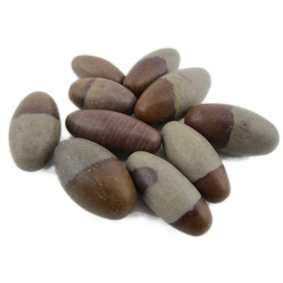 Shiva Lingam - Pierre roulée - 1.5-3 cm