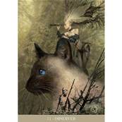 L'Oracle des Chats Fantasy - Paolo Barbieri - Jeu 23 Cartes