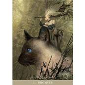 L'Oracle des Chats Fantasy -  Paolo Barbieri - Jeu 23 Cartes