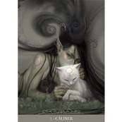 L'Oracle des Chats Fantasy - Paolo Barbieri - Jeu 23 Cartes