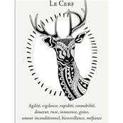 La Boîte du Chaman - Coffret 36 Cartes