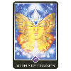 Osho Zen Tarot - Version Originale