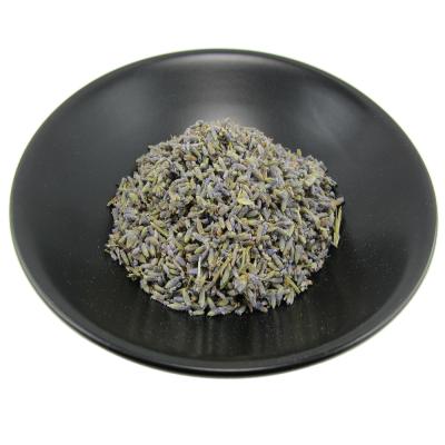 Lavande - Lavandula angustifolia - 25g