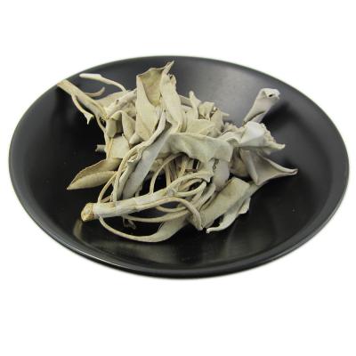 Sauge blanche - Salvia apiana - 25g