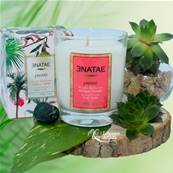 Enatae- Bougie Parfumée Naturelle Artisanale 45h - Javari