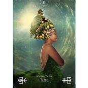 L'Oracle des Energies de l'Univers - Cartes Oracle - Stacey Demarco