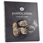 Encens Green Tree - Collection Purification