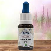 Deva - Fleur du Dr Bach - Pin Sylvestre N.24 - Compte gouttes 15ml