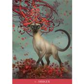 L'Oracle des Chats Fantasy - Paolo Barbieri - Jeu 23 Cartes