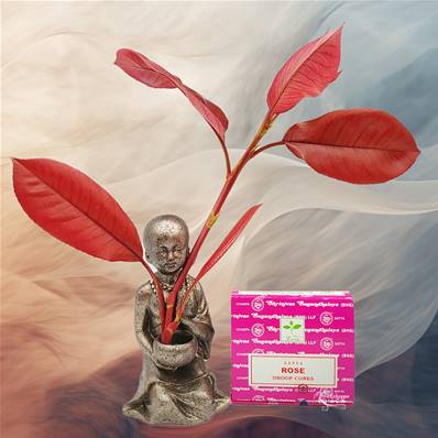 Encens Satya Dhoop Cones - Rose