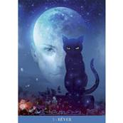 L'Oracle des Chats Fantasy - Paolo Barbieri - Jeu 23 Cartes