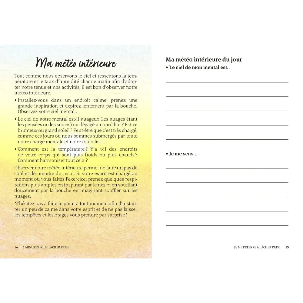 5 Minutes pour Lâcher Prise - Emilie Pernet First Editions