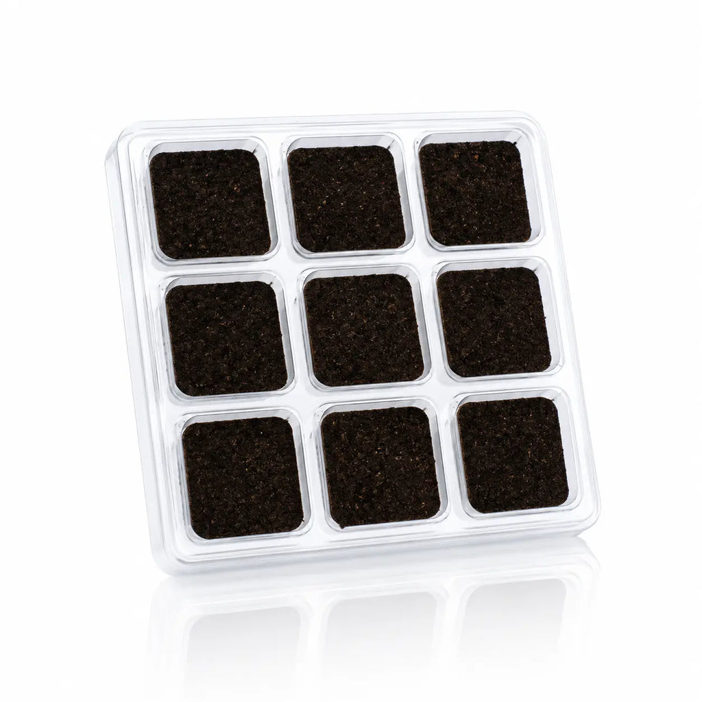 Briques d'encens Aromafume, blister en plastique transparent contenant neuf carrés d'encens de couleur brun foncé disposés en grille sur fond blanc.