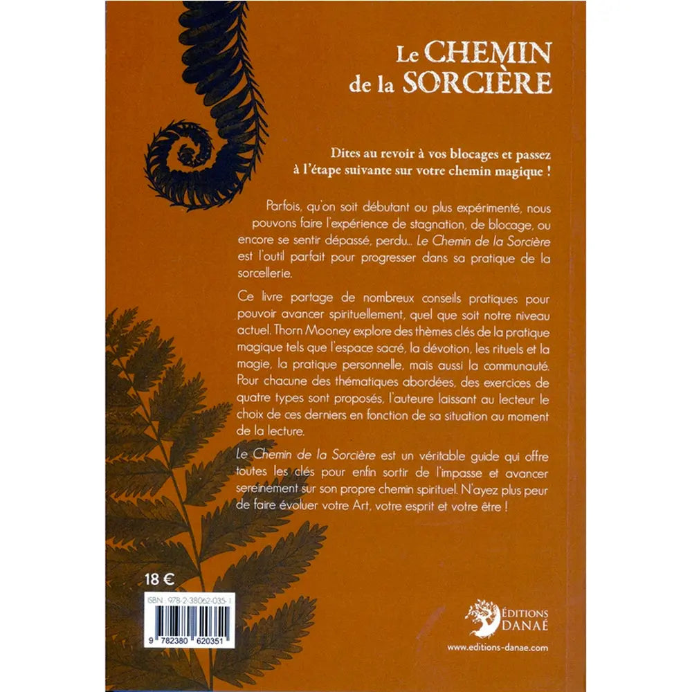 Le Chemin de la Sorcière illustré par le verso de sa couverture présentant une quatrième de couverture descriptive sur un fond uni de couleur ocre, agrémenté de silhouettes de fougères sombres et d'une crosse végétale stylisée en haut à gauche.