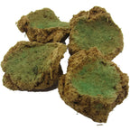 Morceaux d’encens bruns et verts en gros plan sur fond blanc.