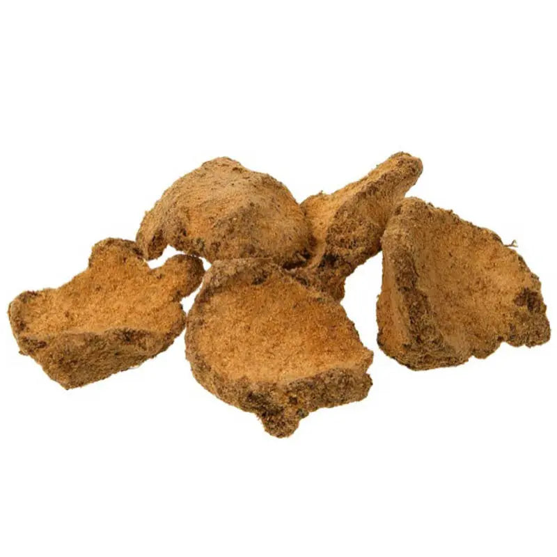 Gros plan sur des morceaux d'encens rares Sacred Buddha bruts, texture terreuse brune, isolés sur fond blanc.