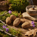 Galets d’encens bruns posés sur table en bois, avec porte-encens en céramique fumant, mousse, branches et fleurs violettes.