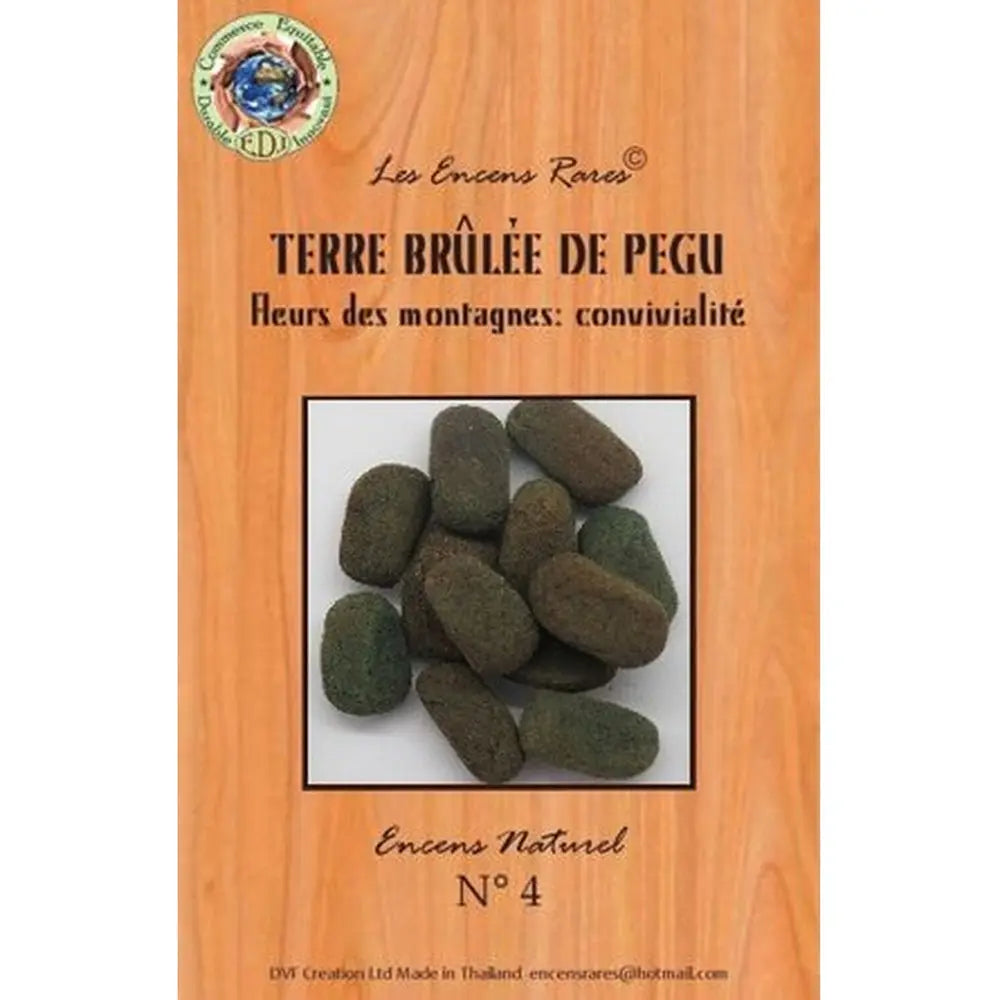 Galets d'encens rares Terre Brûlée de Pégu noirs sur mousse, entourés de fleurs violettes et encensoir en céramique.