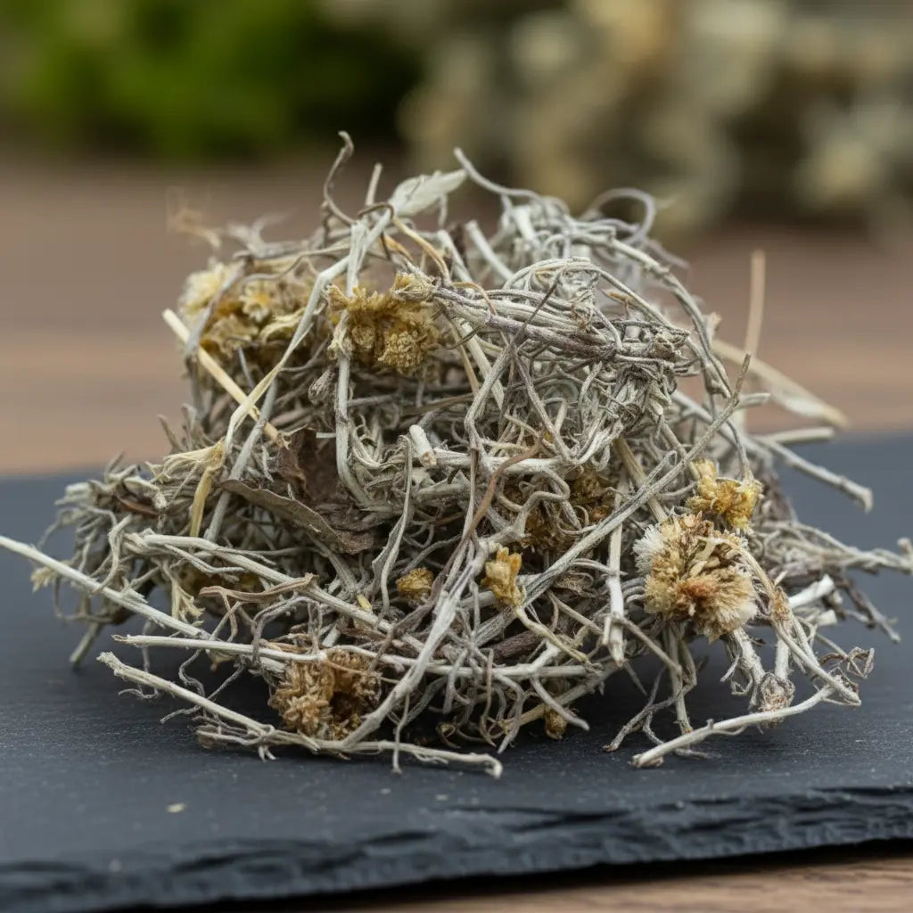Gros plan sur un bouquet d’immortelle séchée, tiges fines et petites fleurs jaunes sur ardoise sombre.